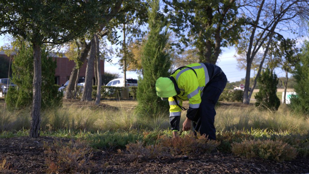 Landscape maintenance technician removing weeds by hand at commercial property