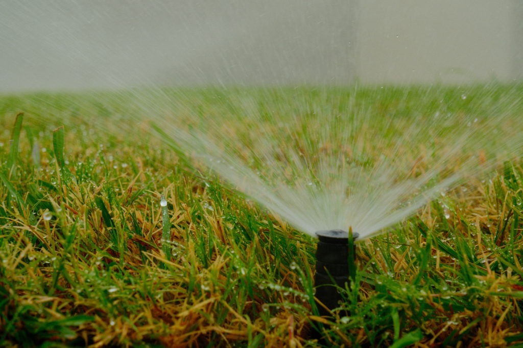 Newly installed irrigation sprinkler head at a commercial property