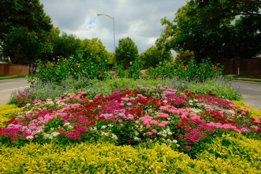 Seasonal flower bed enhancements at Westchester community in DFW