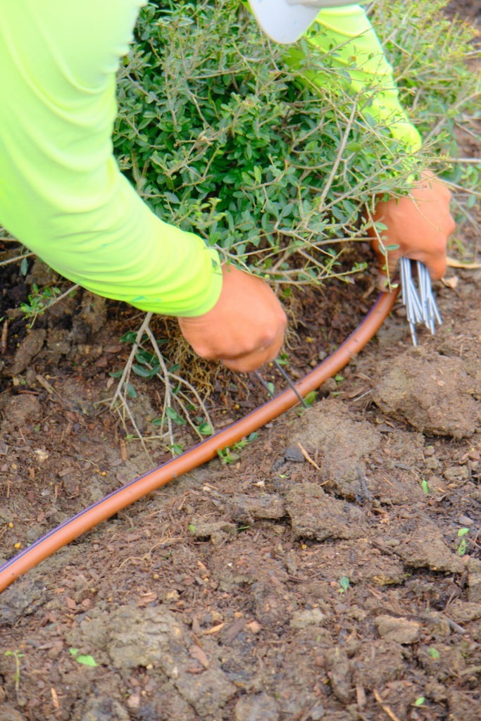Site Landscape Development crew member working on irrigation system on commercial site