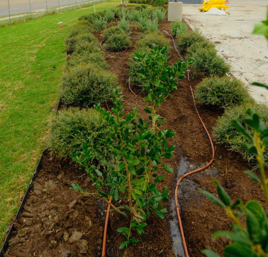 Irrigation system installed in commercial landscape bed