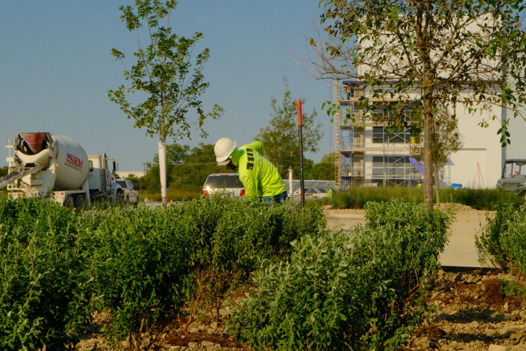 Site Landscape Development crew member installing irrigation system around newly planted landscape beds.