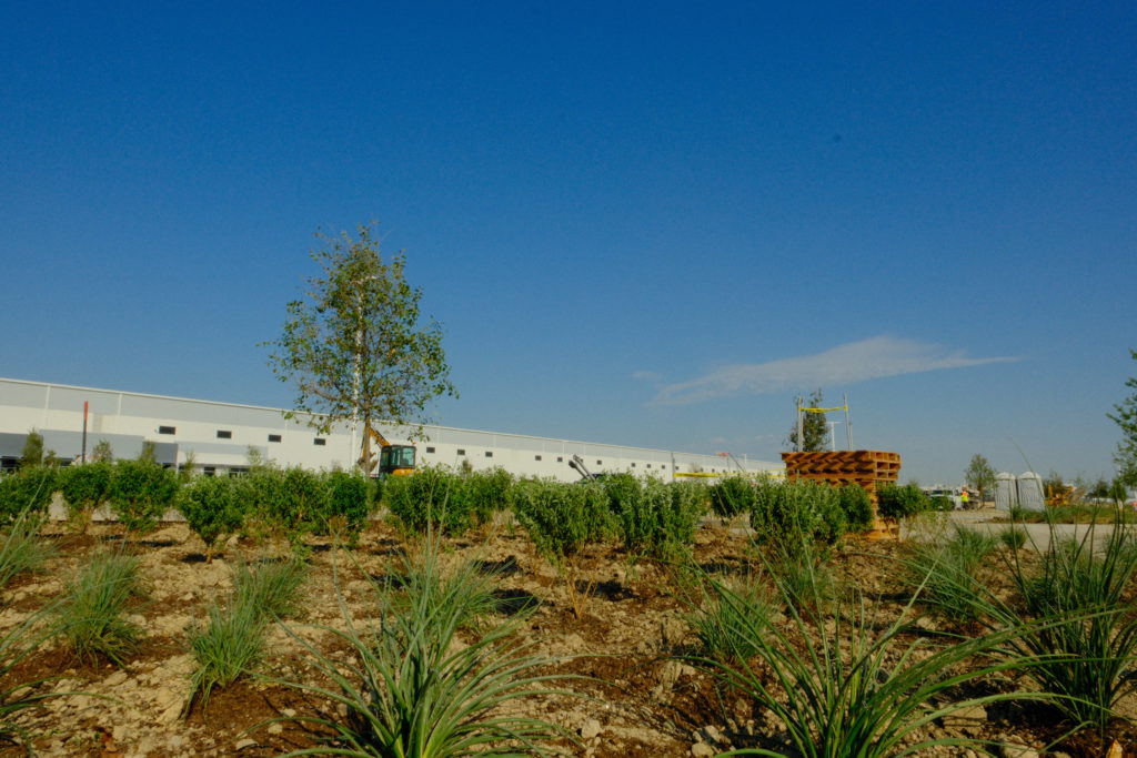 Commercial landscape installation at new industrial development
