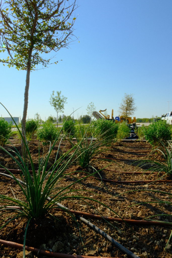 Irrigation system installed in commercial landscape bed