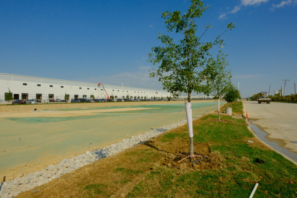 Hydromulch application and tree planting at construction site in Dallas–Fort Worth.