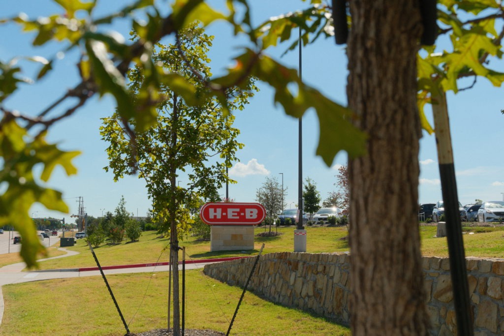 Commercial tree installation at H-E-B in DFW