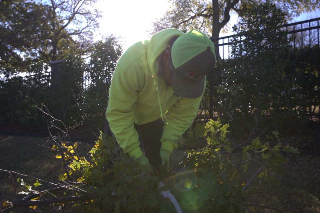 SLD crew member bundling trimmed branches during landscape cleanup.