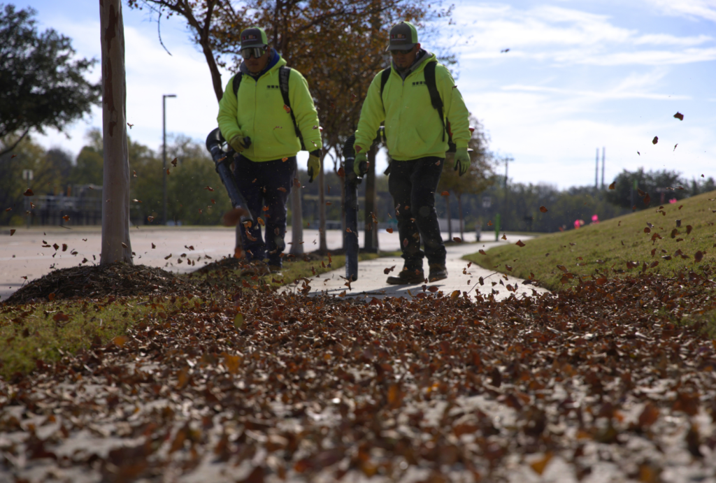 SLD crew members using leaf blowers during landscape maintenance.