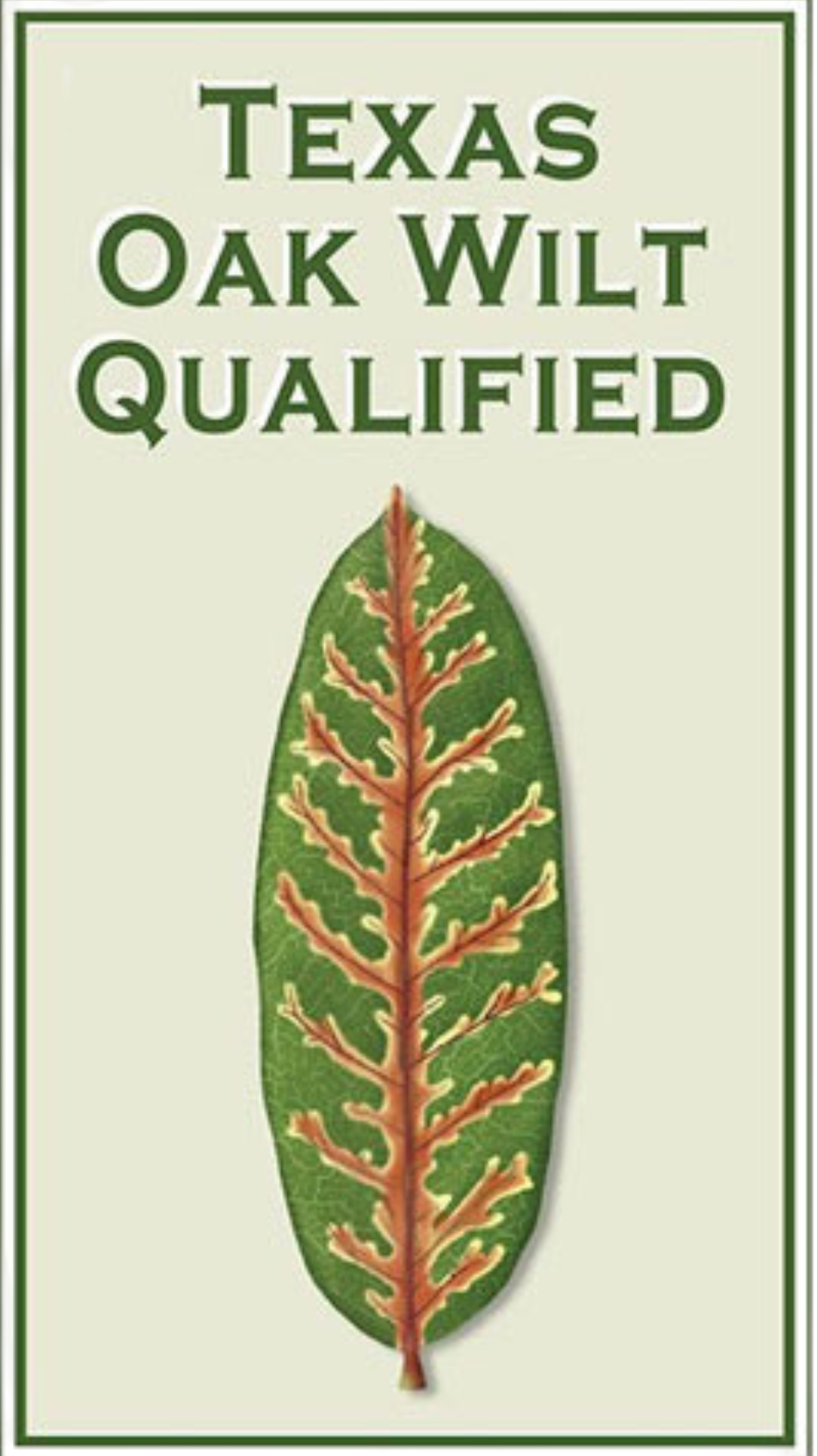 Texas Oak Wilt Qualified Certification
