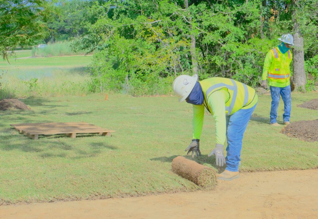 Construction crew member laying fresh sod during a turf installation at a commercial property in the DFW area.