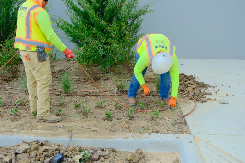 SLD irrigation crew members installing drip irrigation lines through a newly planted landscape bed at a commercial property in DFW.
